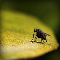 /album/elif-kurt/photolia-a07-jpg/